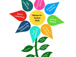 Values-In-Action Program